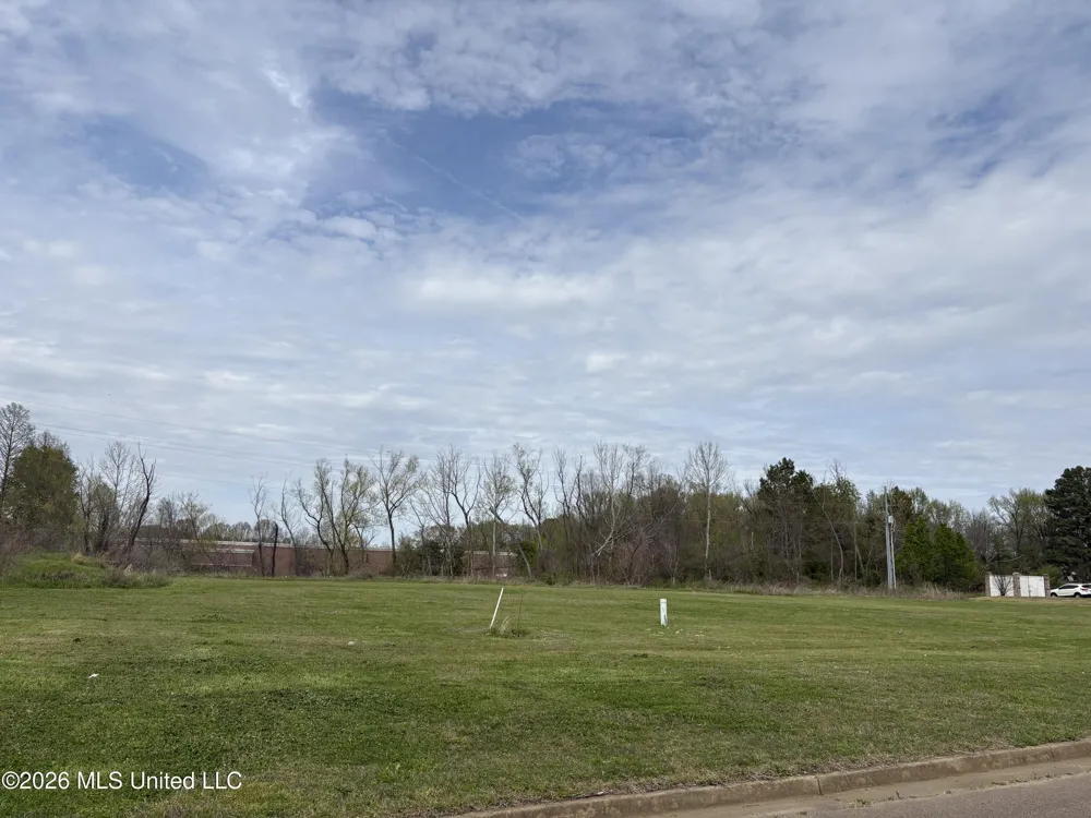 0 Monteith Avenue Hernando, MS 38632