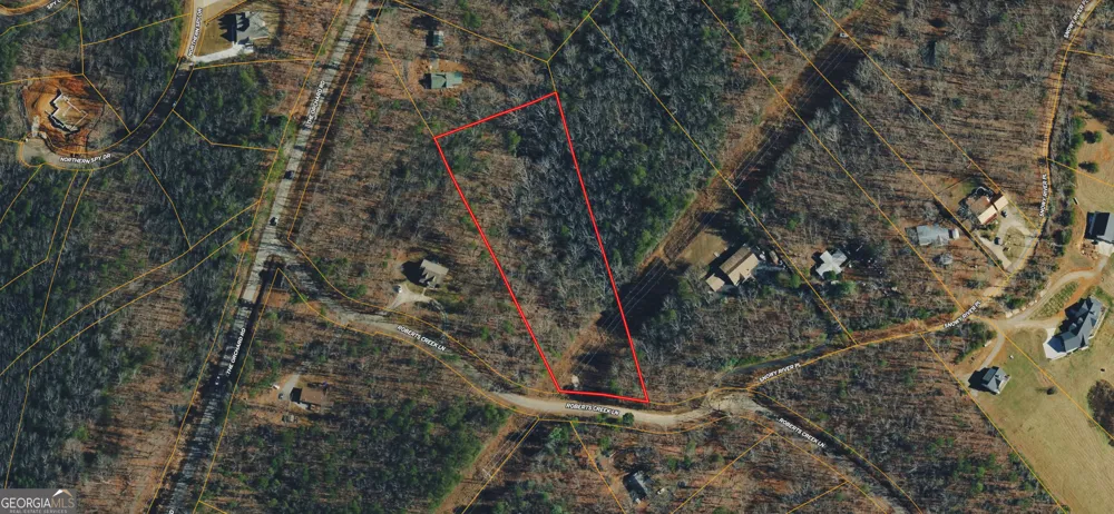 0 Roberts Creek LN Clarkesville, GA 30523