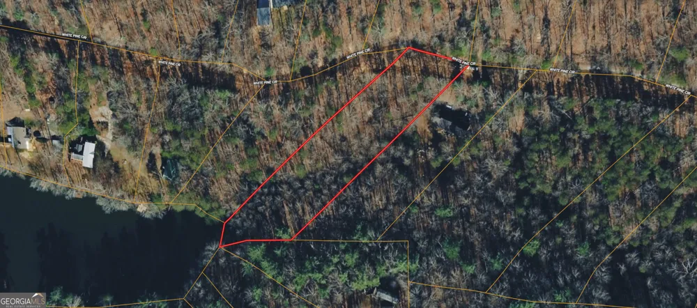 0 White Pine CRK Demorest, GA 30535