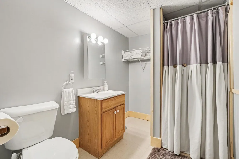 10320 Lincoln Lake Avenue NE Oakfield Township, MI 48838