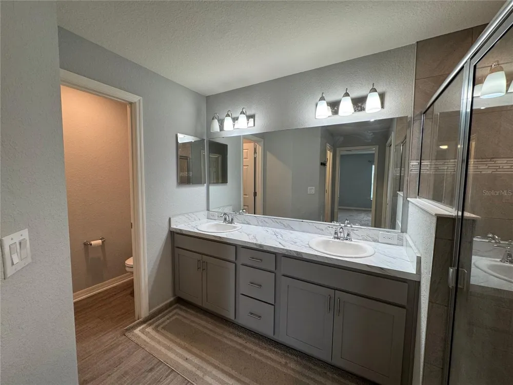 11771 STONE PINE STREET Riverview, FL 33569