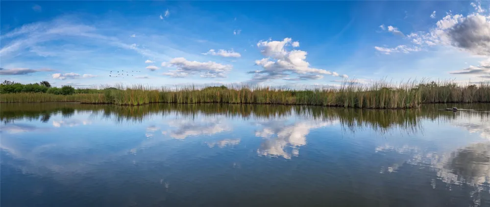 1222 Canyon Wren Loop Possum Kingdom Lake, TX 76449