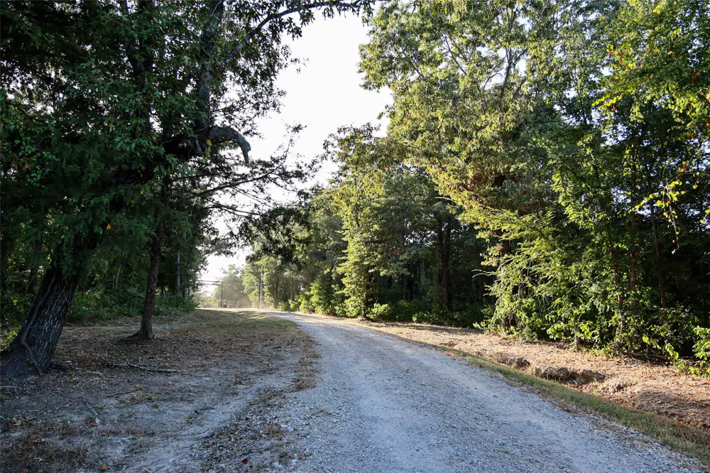 5541 Fm 1652 Grand Saline, TX 75140