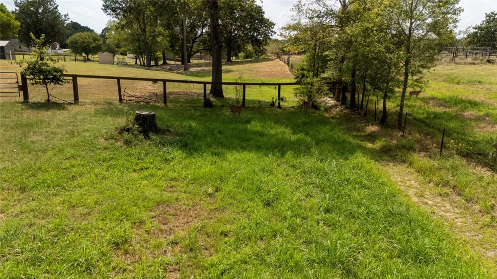 2301 Lakefront Shores Drive Athens, TX 75752