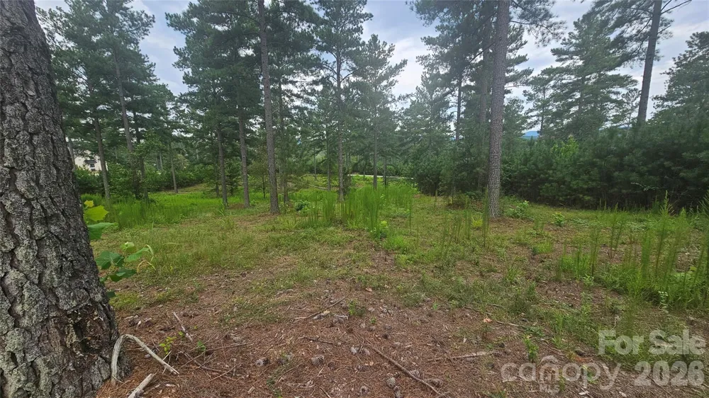 1884 Coveside Drive Granite Falls, NC 28630