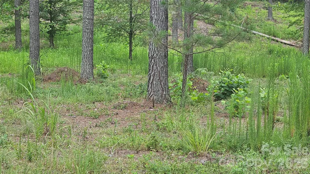 1884 Coveside Drive Granite Falls, NC 28630