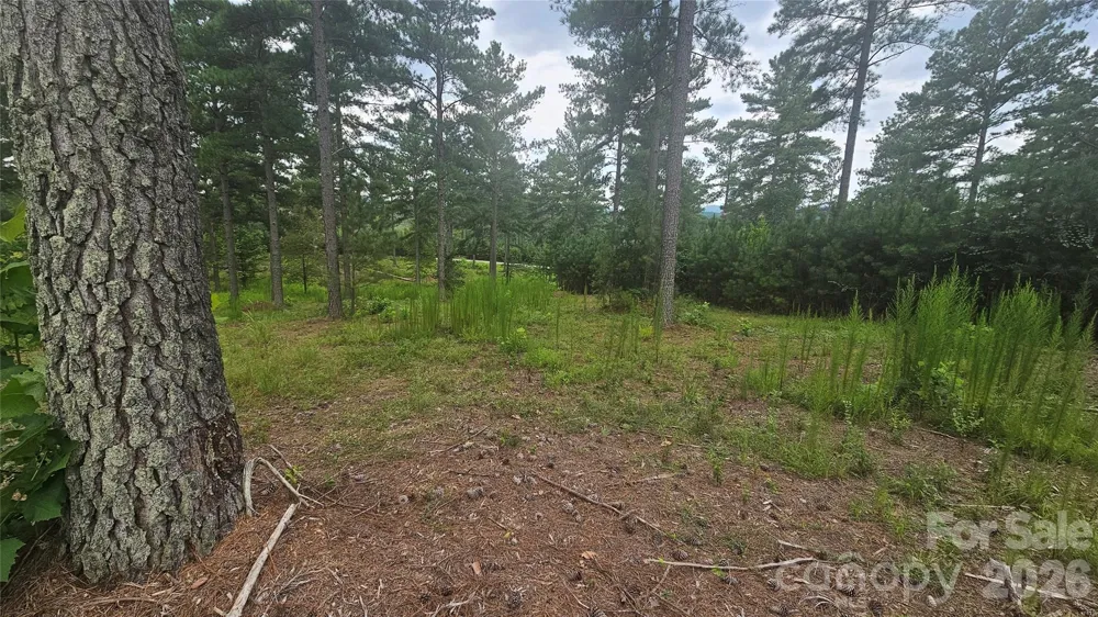 1884 Coveside Drive Granite Falls, NC 28630
