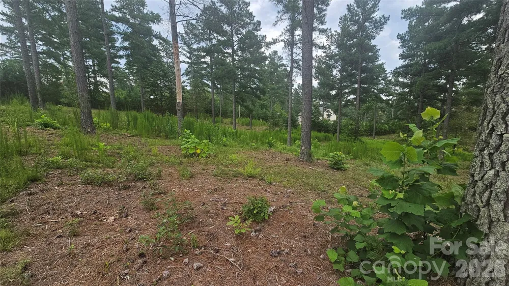 1884 Coveside Drive Granite Falls, NC 28630