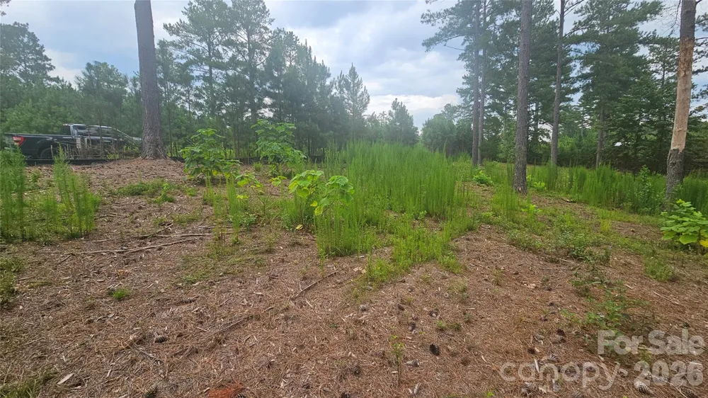1884 Coveside Drive Granite Falls, NC 28630