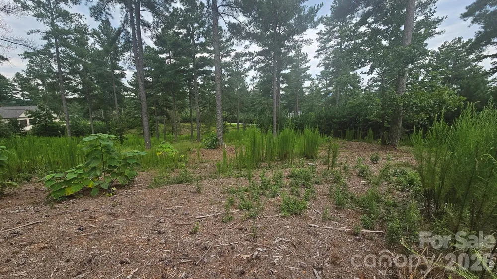 1884 Coveside Drive Granite Falls, NC 28630