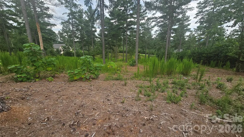 1884 Coveside Drive Granite Falls, NC 28630