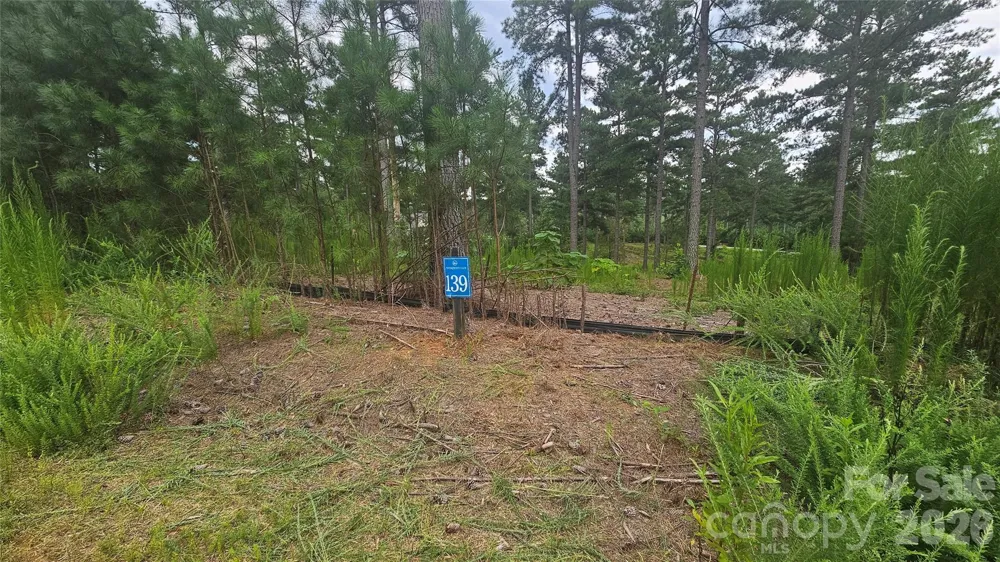 1884 Coveside Drive Granite Falls, NC 28630