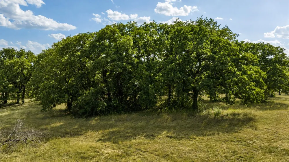4201 E Bankhead Highway Weatherford, TX 76087