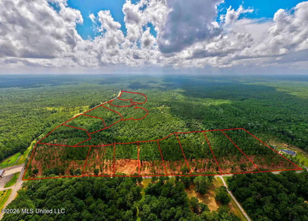 Nhn Lot 4 Ramsey Road Saucier, MS 39574