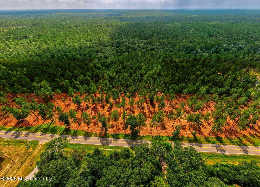 Nhn Lot 4 Ramsey Road Saucier, MS 39574