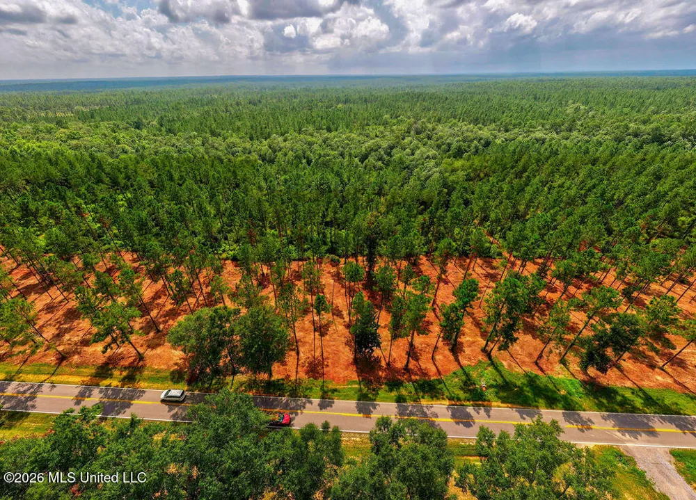 Nhn Lot 4 Ramsey Road Saucier, MS 39574
