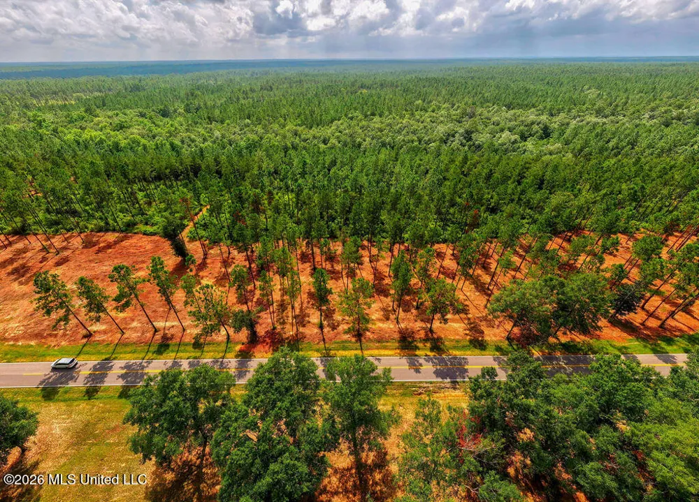 Nhn Lot 4 Ramsey Road Saucier, MS 39574