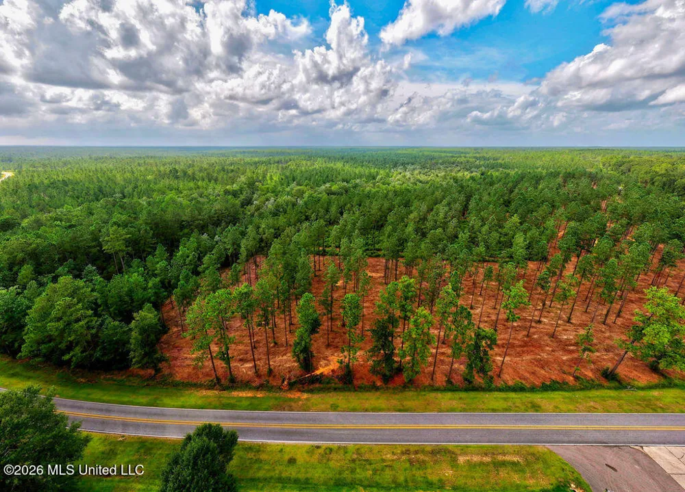 Nhn Lot 4 Ramsey Road Saucier, MS 39574