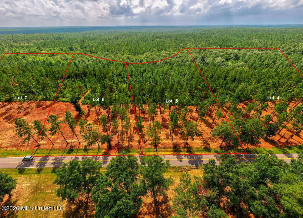 Nhn Lot 3 Ramsey Road Saucier, MS 39574