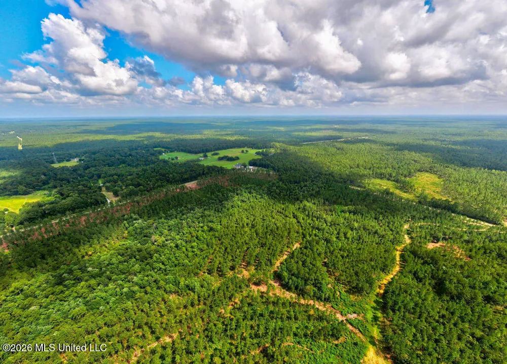 Nhn Lot 5 Ramsey Road Saucier, MS 39574