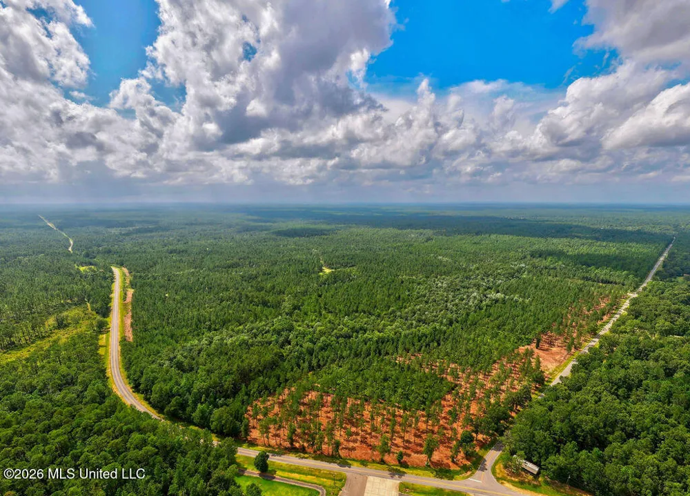 Nhn Lot 5 Ramsey Road Saucier, MS 39574