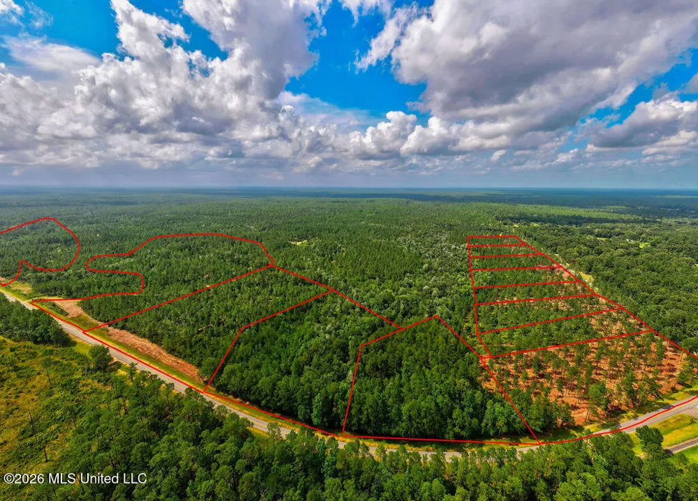 Nhn Lot 5 Ramsey Road Saucier, MS 39574
