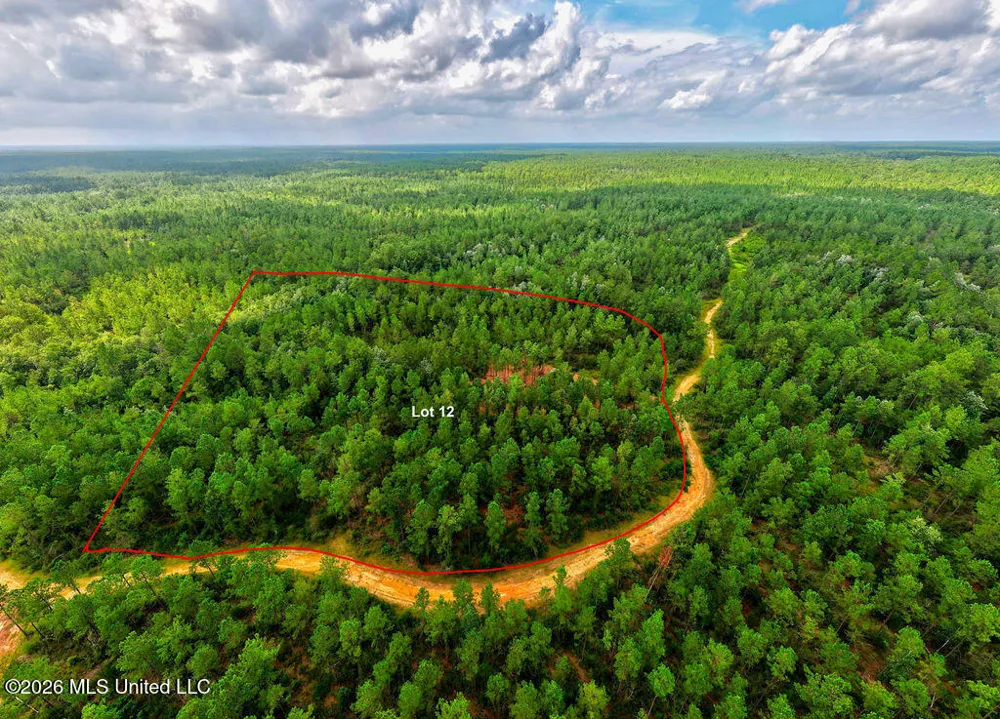Nhn Lot 5 Ramsey Road Saucier, MS 39574