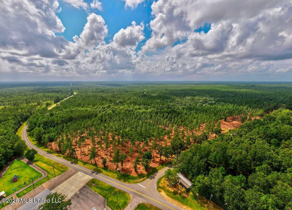 Nhn Lot 5 Ramsey Road Saucier, MS 39574