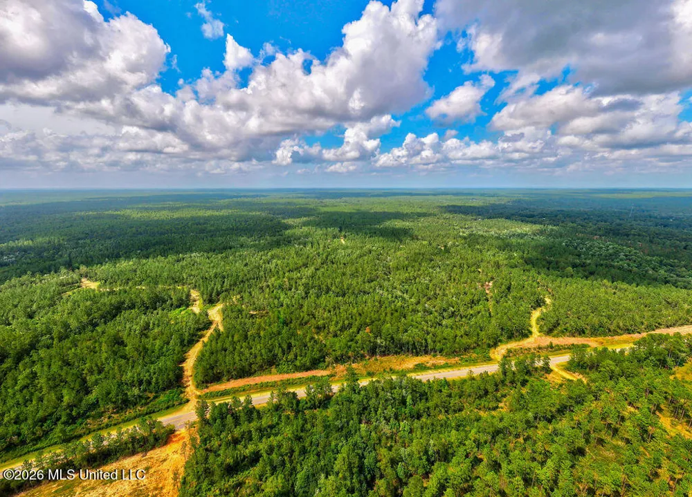 Nhn Lot 5 Ramsey Road Saucier, MS 39574