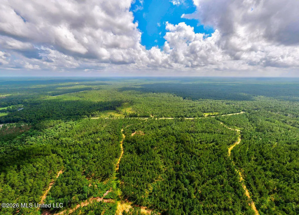 Nhn Lot 5 Ramsey Road Saucier, MS 39574