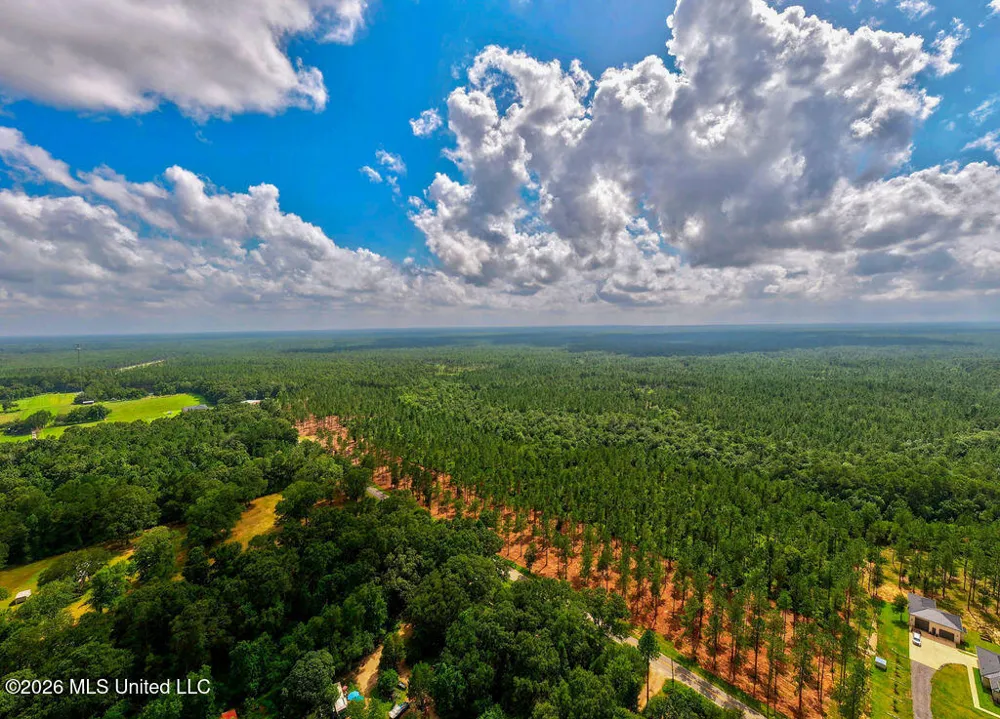 Nhn Lot 5 Ramsey Road Saucier, MS 39574
