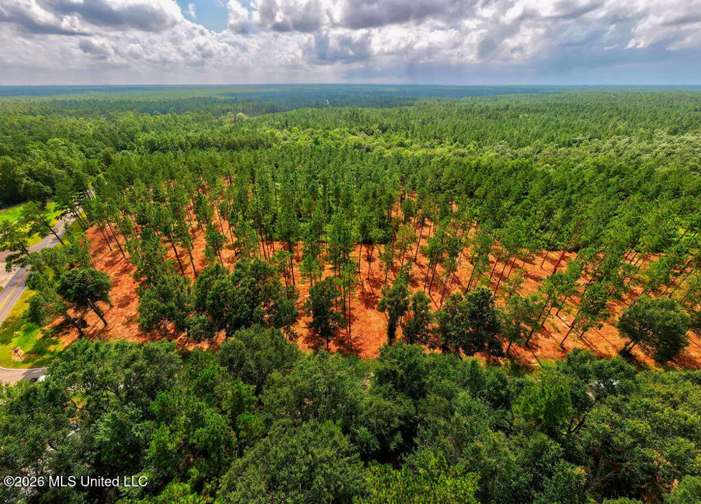 Nhn Lot 5 Ramsey Road Saucier, MS 39574