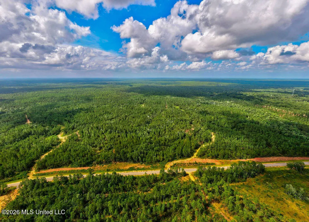 Nhn Lot 5 Ramsey Road Saucier, MS 39574
