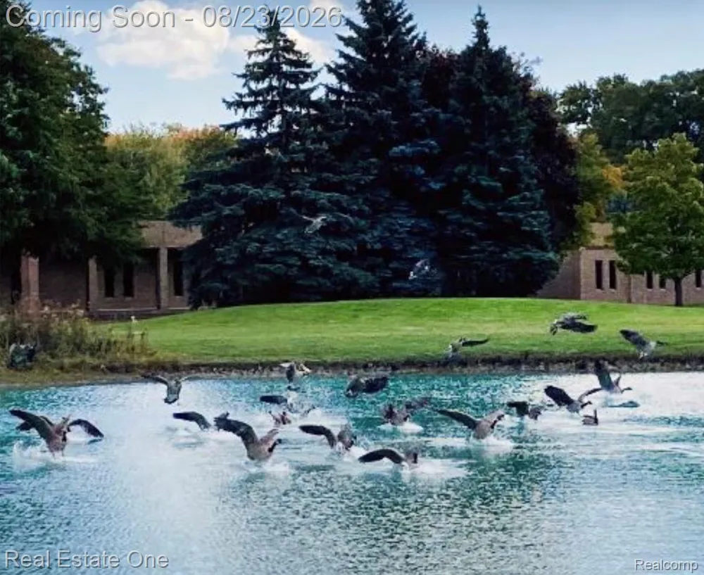 18515 Brookside Lane #16 Clinton Charter Township, MI 48038