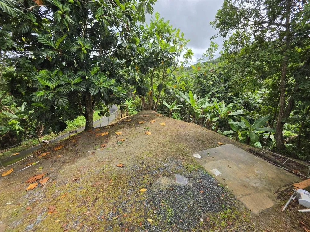 PR 9920 QUEBRADA ARENAS San Lorenzo, PR 00754