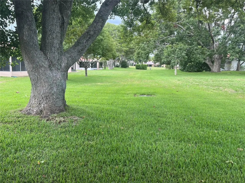 11414 STANSBERRY DRIVE Port Richey, FL 34668