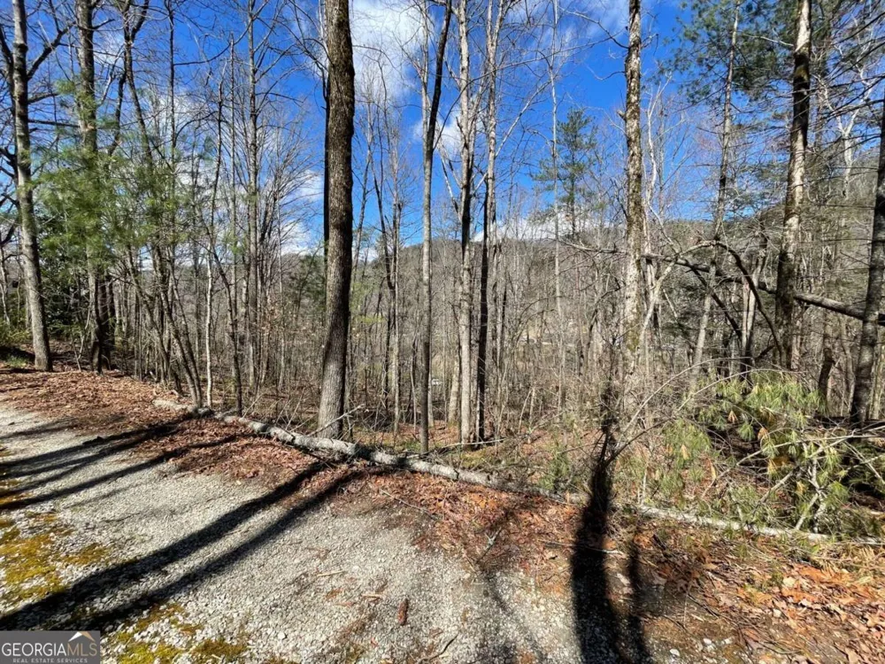 0 Bridge Creek RD Tiger, GA 30576