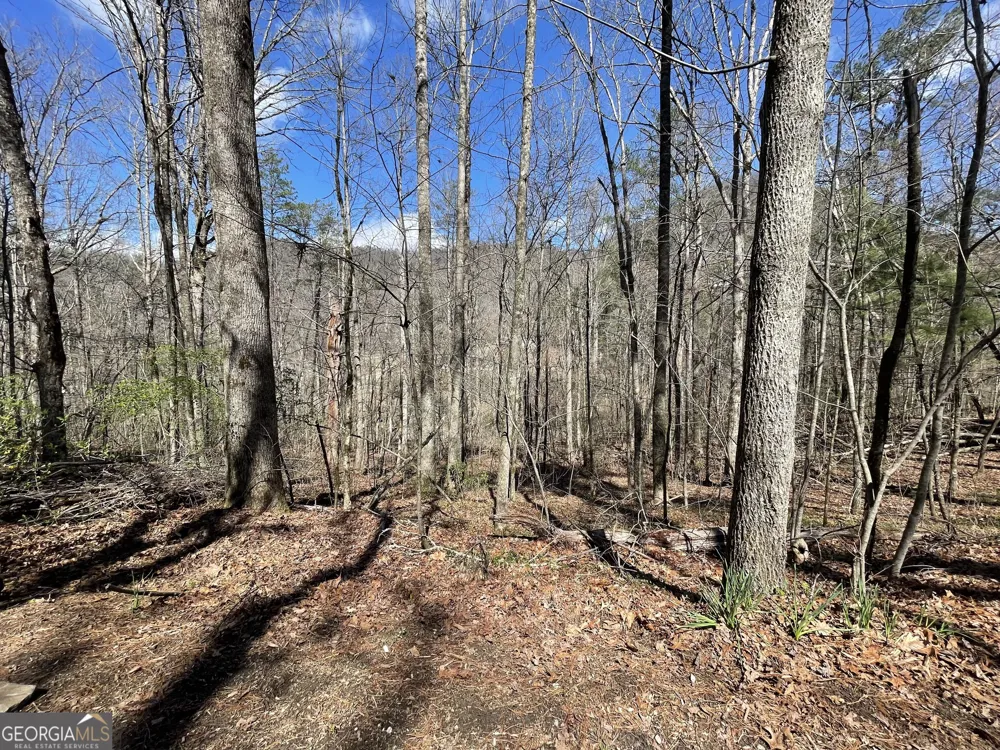 0 Bridge Creek RD Tiger, GA 30576