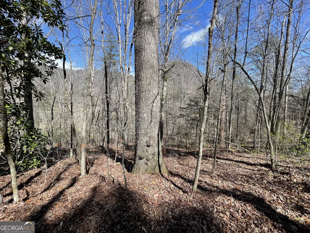0 Bridge Creek RD Tiger, GA 30576