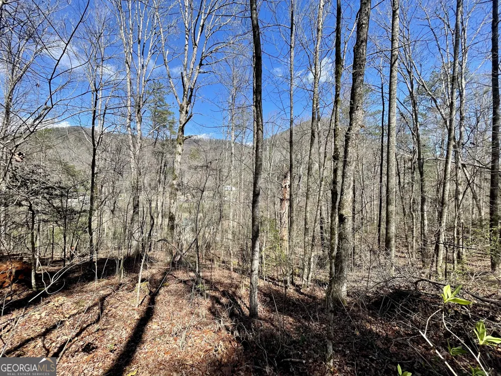 0 Bridge Creek RD Tiger, GA 30576