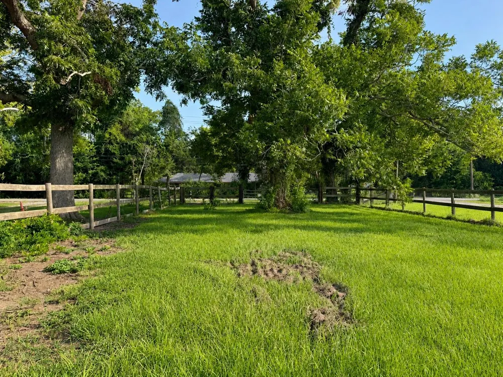 11325 32nd Street Santa Fe, TX 77510