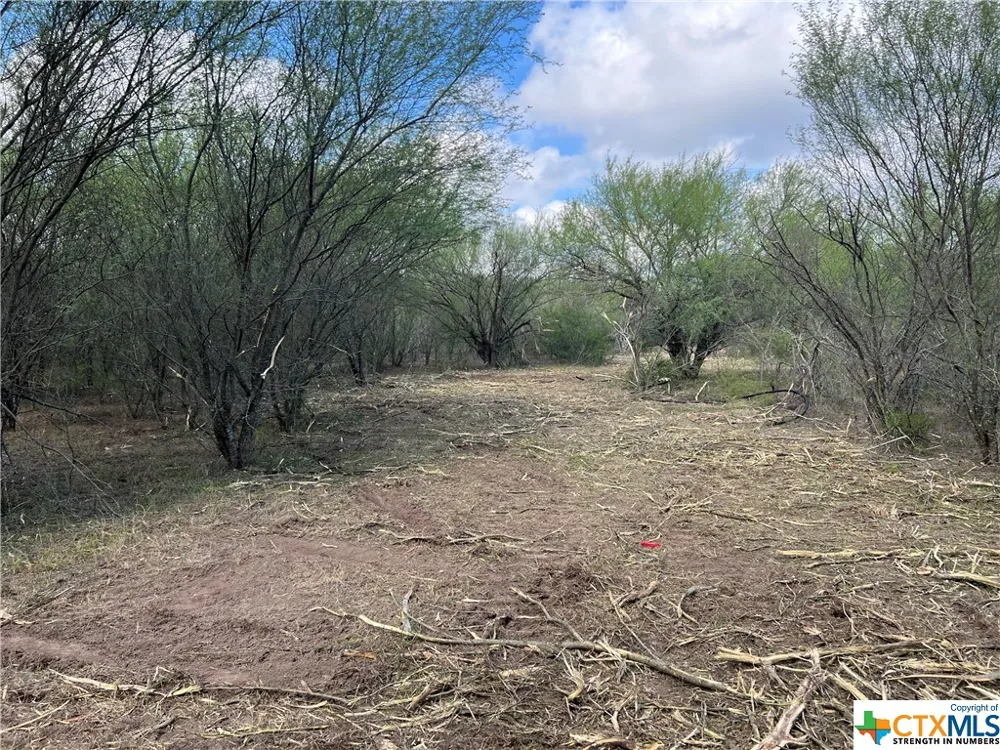 1867 Old Gonzales Road Cuero, TX 77954