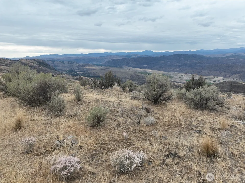0 McLaughlin Canyon Road Tonasket, WA 98855