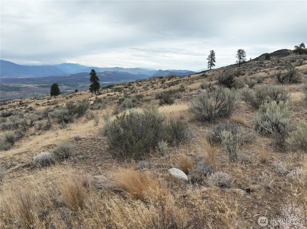 0 McLaughlin Canyon Road Tonasket, WA 98855