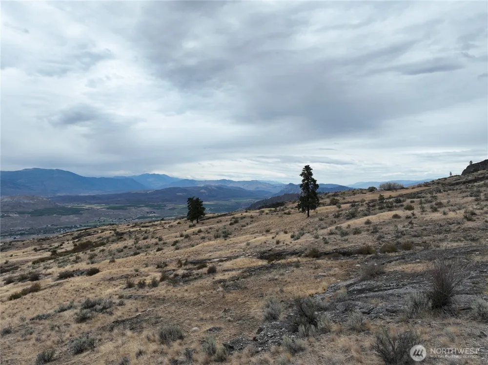 0 McLaughlin Canyon Road Tonasket, WA 98855