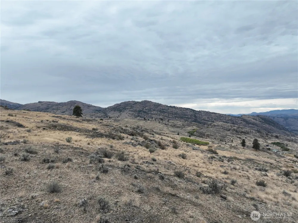 0 McLaughlin Canyon Road Tonasket, WA 98855