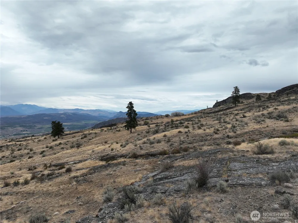 0 McLaughlin Canyon Road Tonasket, WA 98855