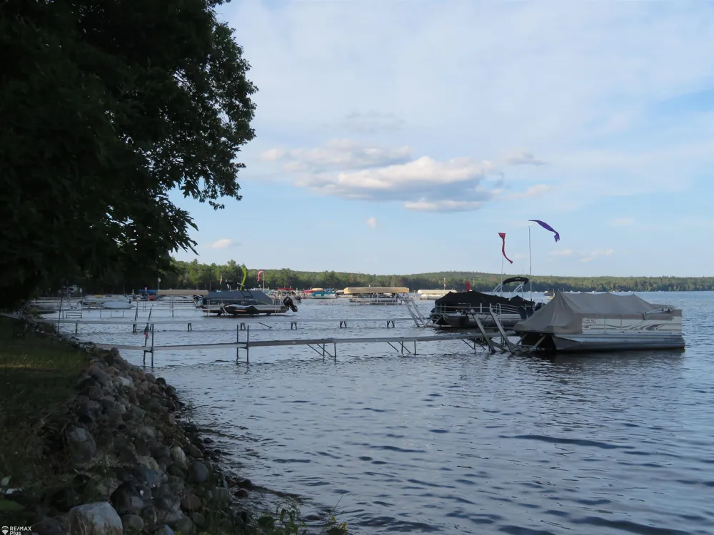 10369 W Higgins Lake Road Lyon Township, MI 48653