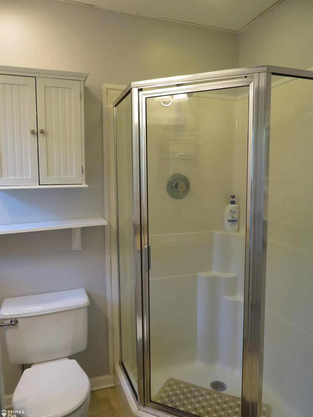 10369 W Higgins Lake Road Lyon Township, MI 48653