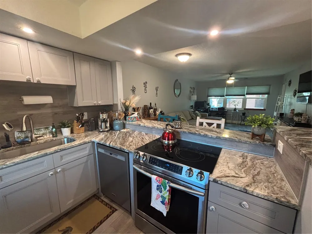 4805 ALT 19 #624 Palm Harbor, FL 34683